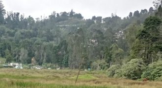 #11 Naidupuram – 5.5 Cents (1.5 km from Lake)