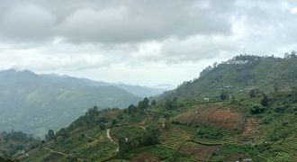 #12 Sivanadi Road – 11.5 Cents (2.6 km from Lake)