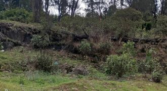 #13 Naidupuram – Two Plots of 7 Cents Each (1.6 km from Lake)