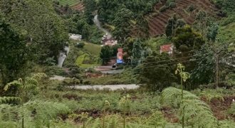 #14 Naidupuram – Three Plots of 7 Cents Each (1.6 km from Lake)