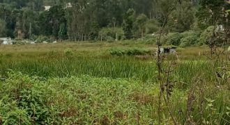 #15 Shenbaganur – 9 Acres (7 km from Lake)