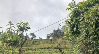 #16 Near Kumaragiri – 1.5 Acres (3 km from Lake)