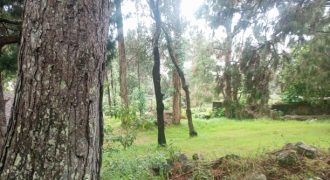 #20 Pambarpuram – 40 Cents (4 km from Lake)