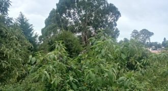 #21 Pambarpuram – Two Plots of 25 Cents Each (4 km from Lake)