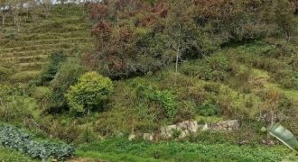 #22 Attuvampatti – 7 Cents Plot (4 km from Lake)