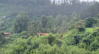#24 Observatory – 12.5 Cents (2.5 km from Lake)
