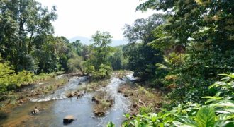 #27 Naidupuram – 21 Cents (1.5 km from Lake)