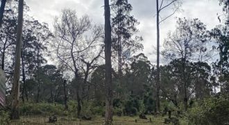 #4 Naidupuram – 65 Cents (2.5 km from Kodai Lake)
