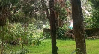 #5 Near Observatory – 75 Cents (3 km from Kodai Lake)