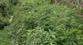 #6 Near Golf Club – 4000 sq.ft. House (6 km from Kodai Lake)