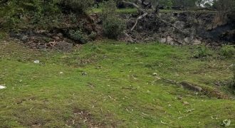 #9 Lloyd’s Road – 13 Cents (1 km from Lake)